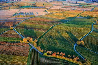 Vue aérienne de Les vignobles s'embrasent de couleurs automnales entre Dierbach et Hergersweiler à Dierbach dans le département Rhénanie-Palatinat, Allemagne