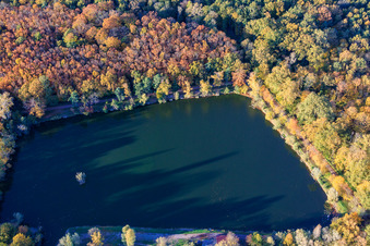 Photographie aérienne de Lac de l'Ours à Ottersheim bei Landau dans le département Rhénanie-Palatinat, Allemagne