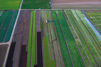 Photographie aérienne de Champs de légumes et d'oignons au bord du ruisseau Kaltenbach à Freisbach dans le département Rhénanie-Palatinat, Allemagne