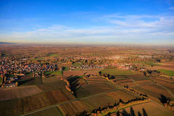 Photographie aérienne de Du sud-ouest à le quartier Ingenheim in Billigheim-Ingenheim dans le département Rhénanie-Palatinat, Allemagne