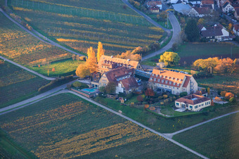 Vue aérienne de Leinsweilerhof en automne à Leinsweiler dans le département Rhénanie-Palatinat, Allemagne