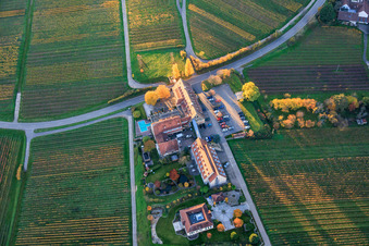 Vue aérienne de Leinsweilerhof en automne à Leinsweiler dans le département Rhénanie-Palatinat, Allemagne