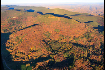 Vue aérienne de Forêt d'automne au pied des Ohrensfels à Frankweiler dans le département Rhénanie-Palatinat, Allemagne