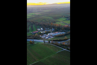 Vue aérienne de Centrale géothermique 1 % pour l'extraction de lithium par Vulcan Energy GmbH à Insheim dans le département Rhénanie-Palatinat, Allemagne