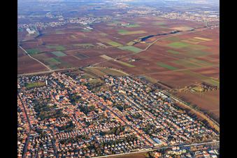 Vue aérienne de Route principale venant du sud à le quartier Böhl in Böhl-Iggelheim dans le département Rhénanie-Palatinat, Allemagne