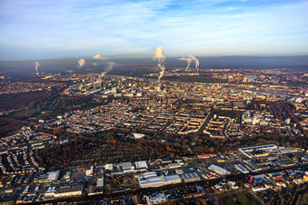Vue aérienne de Vue du quartier entre Ebertpark et BASF à le quartier Friesenheim in Ludwigshafen am Rhein dans le département Rhénanie-Palatinat, Allemagne