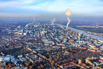 Vue aérienne de Usine chimique BASF sur le Rhin en venant du sud à le quartier BASF in Ludwigshafen am Rhein dans le département Rhénanie-Palatinat, Allemagne