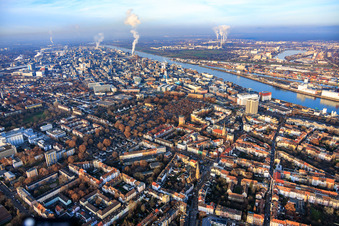 Usine chimique BASF sur le Rhin en venant du sud à le quartier BASF in Ludwigshafen am Rhein dans le département Rhénanie-Palatinat, Allemagne d'en haut