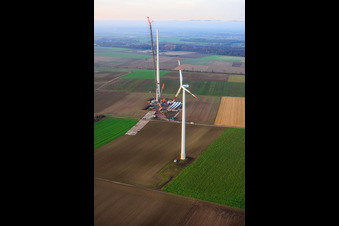 Grue géante pour la modernisation du parc éolien Minfeld. JUWI remplace quatre anciennes turbines (GE 1.5) de 2004 par deux nouvelles turbines Vestas V162 modernes, chacune d'une puissance de six MW. à Minfeld dans le département Rhénanie-Palatinat, Allemagne vue d'en haut