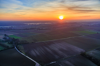 Vue aérienne de Brouillard au sol dans le pâturage au coucher du soleil à Freckenfeld dans le département Rhénanie-Palatinat, Allemagne