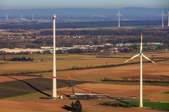 Grue géante pour la modernisation du parc éolien Minfeld. JUWI remplace quatre anciennes turbines (GE 1.5) de 2004 par deux nouvelles turbines Vestas V162 modernes, chacune d'une puissance de six MW. à Minfeld dans le département Rhénanie-Palatinat, Allemagne vue du ciel