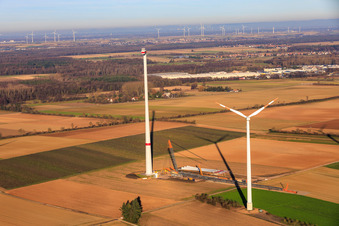 Enregistrement par drone de Grue géante pour la modernisation du parc éolien Minfeld. JUWI remplace quatre anciennes turbines (GE 1.5) de 2004 par deux nouvelles turbines Vestas V162 modernes, chacune d'une puissance de six MW. à Minfeld dans le département Rhénanie-Palatinat, Allemagne