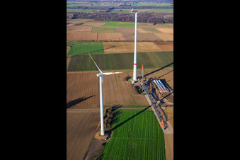 Image drone de Grue géante pour la modernisation du parc éolien Minfeld. JUWI remplace quatre anciennes turbines (GE 1.5) de 2004 par deux nouvelles turbines Vestas V162 modernes, chacune d'une puissance de six MW. à Minfeld dans le département Rhénanie-Palatinat, Allemagne