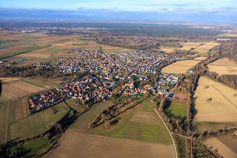 Vue aérienne de Du sud à Wörth am Rhein dans le département Rhénanie-Palatinat, Allemagne