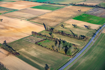 Vue aérienne de Cimetière juif Rülzheim à Rülzheim dans le département Rhénanie-Palatinat, Allemagne