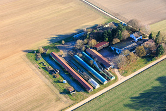 Vue aérienne de Dans les Kieseläckern à Wörth am Rhein dans le département Rhénanie-Palatinat, Allemagne