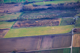 Vue aérienne de Billigheimer Bruch à le quartier Mühlhofen in Billigheim-Ingenheim dans le département Rhénanie-Palatinat, Allemagne