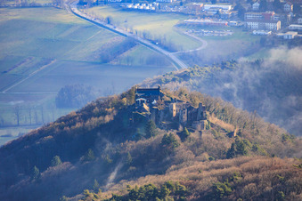 Vue aérienne de Ruines du château de Madenburg vues du nord à Leinsweiler dans le département Rhénanie-Palatinat, Allemagne