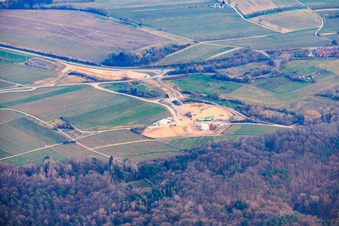 Vue aérienne de Bad Bergzabern dans le département Rhénanie-Palatinat, Allemagne