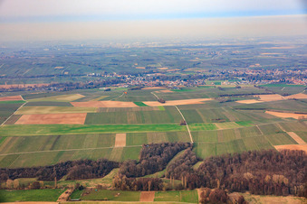 Billigheim-Ingenheim