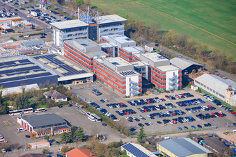 Bornheim