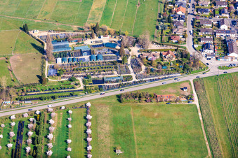 Pépinière Toskanapark à le quartier Speyerdorf in Neustadt an der Weinstraße dans le département Rhénanie-Palatinat, Allemagne