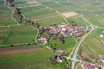 Ob. Mühle avec BG RCI à Maikammer dans le département Rhénanie-Palatinat, Allemagne