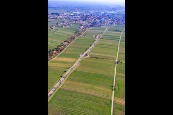 Almond Mile depuis le sud-ouest (Villa Street) à Edenkoben dans le département Rhénanie-Palatinat, Allemagne