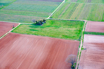 Aérodrome UL de l'association Motorschirme-Freunde-Pfalz eV (Amis du parapente motorisé du Palatinat) sur le site de l'ancien village de Schreinshausen à Meckenheim dans le département Rhénanie-Palatinat, Allemagne