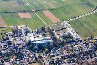 Wollmesheimer Höhe avec Wickert Maschinenbau GmbH et WASGAU Frischemarkt Landau à Landau in der Pfalz dans le département Rhénanie-Palatinat, Allemagne