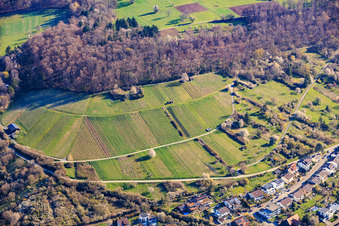 Les vignobles des sites de Dietlinger Klepberg et d'Ellmendinger Keulebuckel à le quartier Dietlingen in Keltern dans le département Bade-Wurtemberg, Allemagne