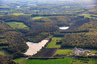 Deux étangs piscicoles en forêt Étang de Diebling et Étang de Metzing à Metzing dans le département Moselle, France