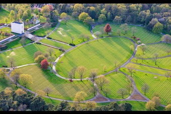 Rangées de pierres tombales et parc au cimetière militaire américain et site commémoratif de Saint-Avold à le quartier Forêts de Zang et du Steinberg in Saint-Avold dans le département Moselle, France