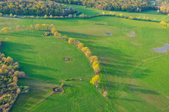 Points d'eau circulaires dans les prairies à Grostenquin dans le département Moselle, France