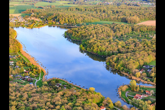 Etang des marais en forêt à Rémering-lès-Puttelange dans le département Moselle, France