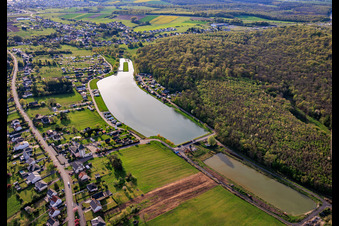 Deux étangs « Étang Saint-Vit » et une île servant de piste d'atterrissage à le quartier Blauberg in Saargemünd dans le département Moselle, France