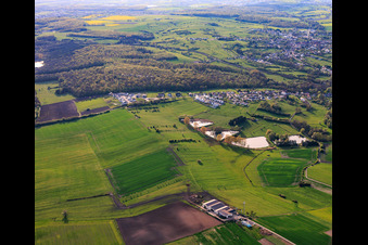Quatre étangs rue des Étangs à Metzing dans le département Moselle, France