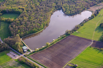 Étang à poissons Étang de Metzing et Salle Polyvalente L'Ecrin de Metzing en lisière de forêt à Metzing dans le département Moselle, France