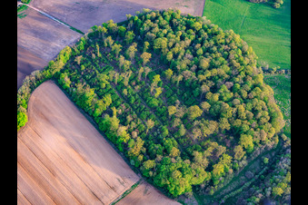 Terrains envahis par la végétation sur l'ancien aérodrome militaire de Grostenquin à Lixing-lès-Saint-Avold dans le département Moselle, France