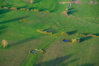 Points d'eau circulaires dans les prairies à Grostenquin dans le département Moselle, France