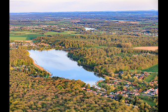Etang des marais en forêt à Rémering-lès-Puttelange dans le département Moselle, France