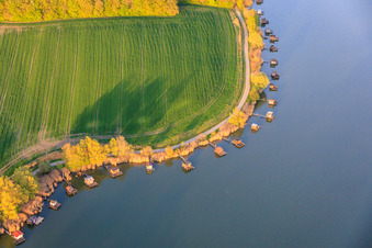 Des promenades en bois bordées de cabanes de pêcheurs longent les rives de l'étang du Welschhof. à Puttelange-aux-Lacs dans le département Moselle, France