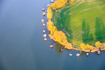 Des promenades en bois bordées de cabanes de pêcheurs longent les rives de l'étang du Welschhof. à Puttelange-aux-Lacs dans le département Moselle, France
