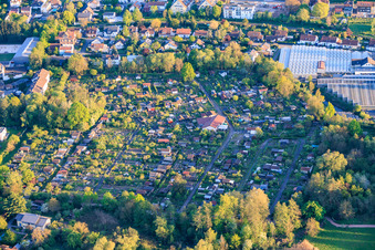 Association des jardins familiaux à Landau in der Pfalz dans le département Rhénanie-Palatinat, Allemagne