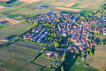 De l'ouest à Impflingen dans le département Rhénanie-Palatinat, Allemagne