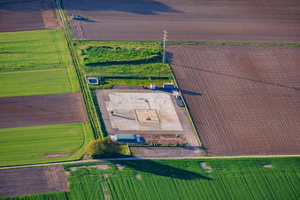 Schwegenheim
