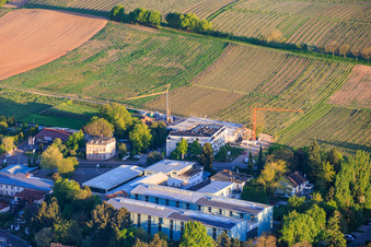 Chantier résidentiel à Wollmesheimer Höhe à Landau in der Pfalz dans le département Rhénanie-Palatinat, Allemagne
