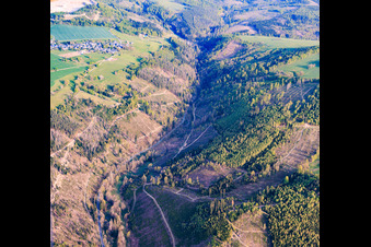 Zones forestières de Thuringe dans la vallée de Sornmitz, gravement endommagées par les scolytes, avec l'autoroute B90. à le quartier Thierbach in Remptendorf dans le département Thuringe, Allemagne