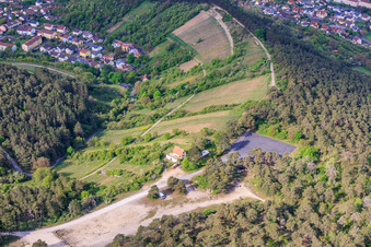 Vignobles de terroir f Hammelburg - Viticulture en Franconie à Hammelburg dans le département Bavière, Allemagne