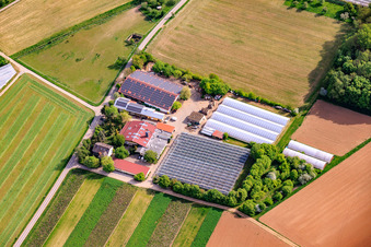 Hof Gut Ruppertzaint agriculture naturelle GmbH & Co. KG à le quartier Gänheim in Arnstein dans le département Bavière, Allemagne